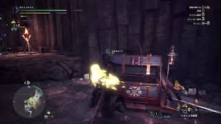 【MHWIB】ワールドを知らないからベヒに会ってくる【PS4】