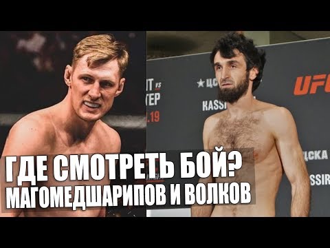 UFC Fight Night 163. Забит Магомедшарипов и Александр Волков. ПРОГНОЗ. ГДЕ СМОТРЕТЬ