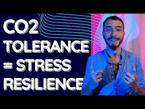 USING THE BREATH TO REDUCE STRESS (The Role of CO2 Tolerance)