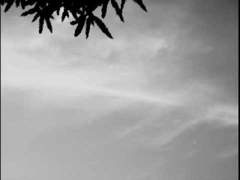 Guinga - Neblina e Flâmulas