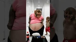 Monkey ke Sath kya huwa😱😨😔#viralvideo #tranding #shorts #ytshorts