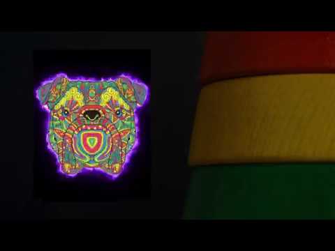 Shatta Gang - Remix Dj Tach