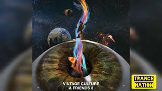 Vintage Culture &amp; Meca - Colour of My Heart