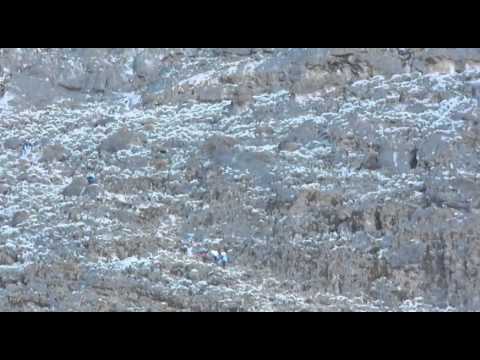 Former Shalimar Elementary teacher climbs Mt. Kilimanjaro