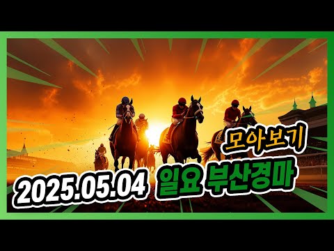 2025년 5월 4일 일요 부산경마 전체경주 모아보기