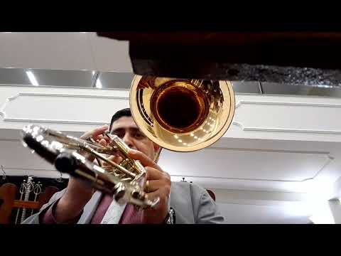 Hino 262 - Senhor à Tua Igreja - Ensaio