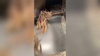Biomass pellet production line with an hourly output of 4 tons