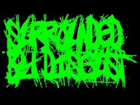 Surrounded By Disgust-Hail Of Organs