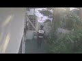 Clip 1