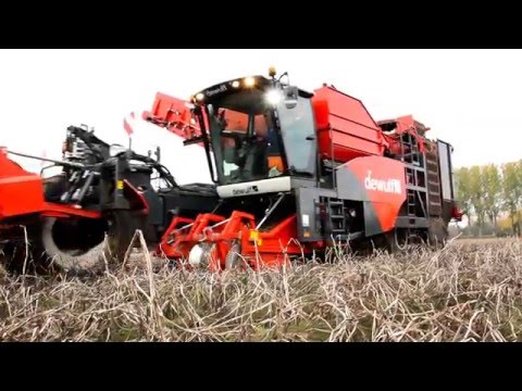 Dewulf RQ3060 - 2-row self-propelled sieving harvester with deviner web