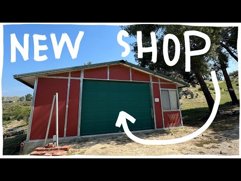 My new shop in Los Angeles! Starting from zero