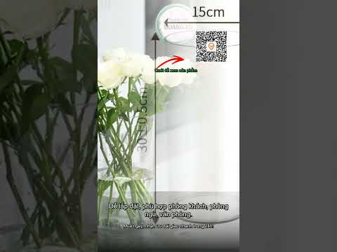 Bình Trụ Tròn Mica Trong Suốt 50-60cm Cắm Hoa Thả Cá Thủy Sinh Giá Rẻ 249k