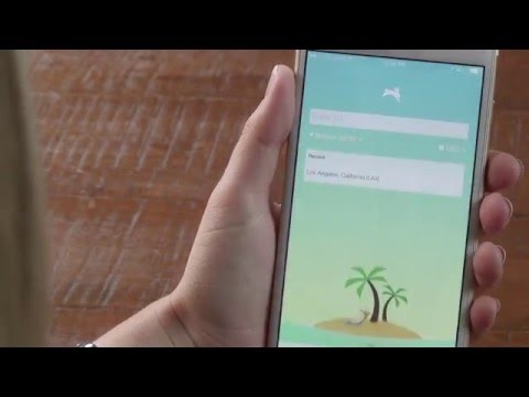Video Image