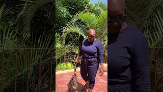 OOTW| Outfit of the Week - Found it On Amazon | Style Over 50 - Navy Blue 2 pc