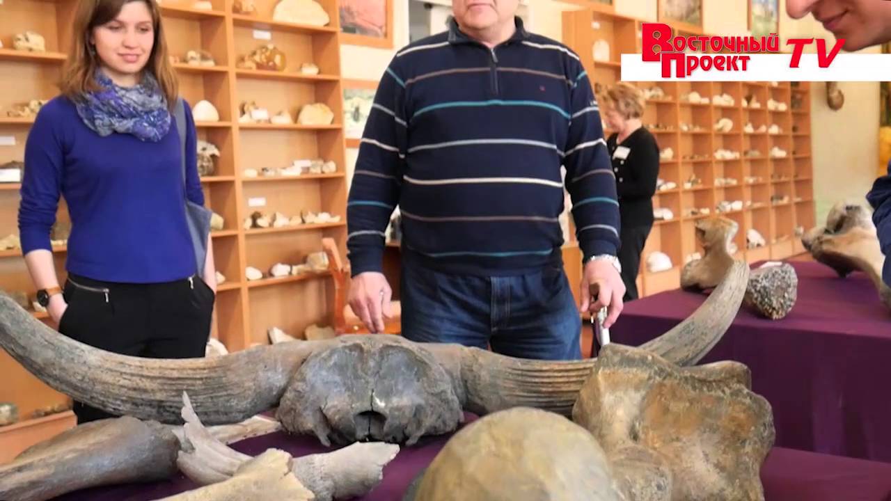 Полезное видео