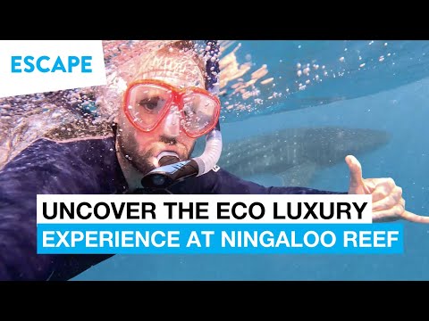 Uncover the Eco-Luxury Experience at Ningaloo Reef