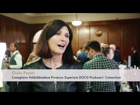 The Great Sparkling Exploration