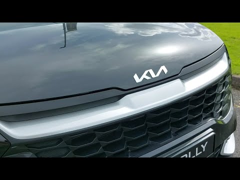 Kia Sportage K3 Diesel €270pm - Image 2