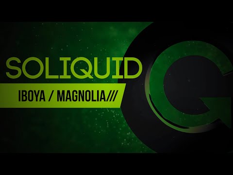 Soliquid - Magnolia (Original Mix)