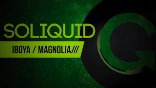 Soliquid - Magnolia (Original Mix)