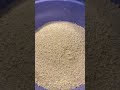 HOT SELLING CAT TOILET SAND FORM TAPIOCA WITH HIGH QUALITY