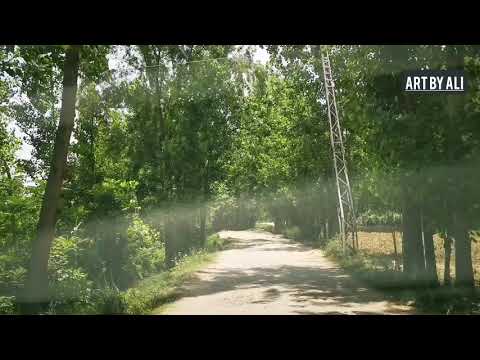 famous cheena ice cream || art by ali