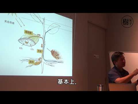 葉子有香味的樹