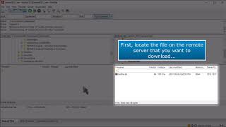 FTP: How to Download Files Using FileZilla
