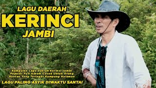 Download lagu Lagu Daerah Kerinci Jambi Full Album, Semakin Didengar Semakin Rindu Dengan Kampung Halaman mp3