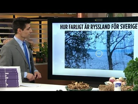 Marcus Oscarsson svarar på tittarnas frågor om Ryssland - Nyhetsmorgon (TV4)