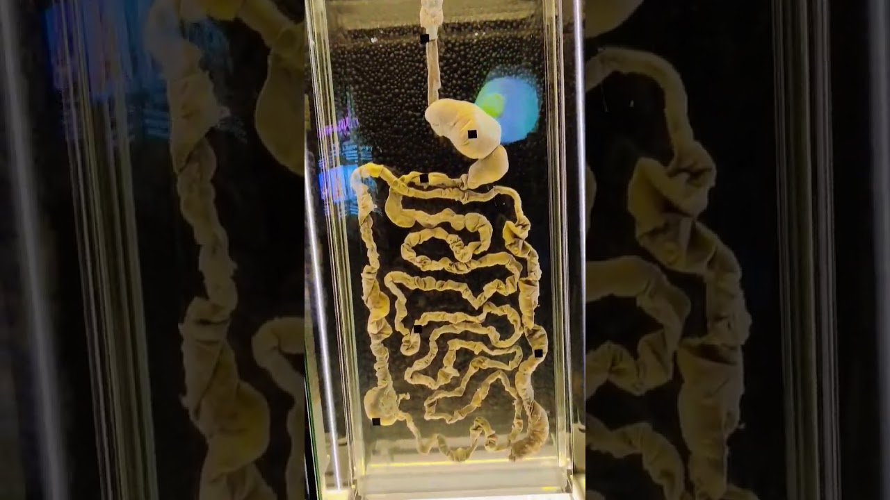 YouTube Short thumbnail