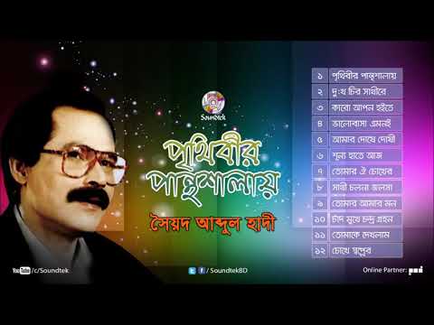 Syed Abdul Hadi Prithibir Panthoshala