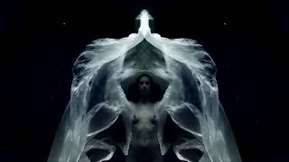 Tori Amos ⁞ Pandora&#39;s Aquarium lyrics