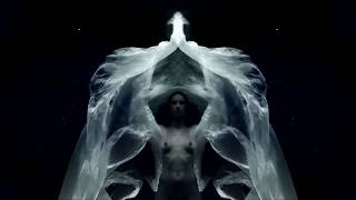 Tori Amos ⁞ Pandora&#39;s Aquarium lyrics