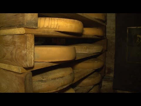 download lagu mp3 mp4 Vieux Comt Fromage, download lagu Vieux Comt Fromage gratis, unduh video klip Vieux Comt Fromage