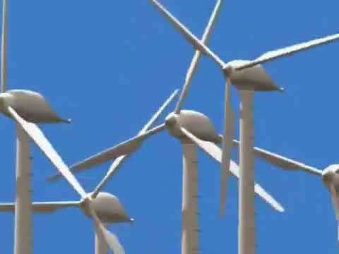 Road Runner And Wile E. Coyote Goner With The Wind Russian 4:3