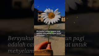 Download lagu story wa // sholawat ya sayyidi ya rosulallah // kata kata penyambut pagi hadr // shorts mp3 Download lagu story wa // sholawat ya sayyidi ya rosulallah // kata kata penyambut pagi hadr // shorts mp3