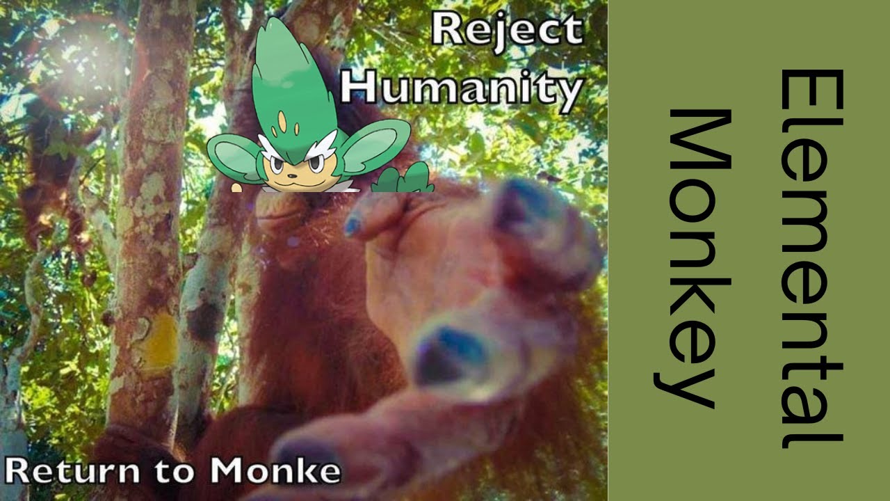 Monkey See -  Monkey KO? How to play the Elemental Monkey Trio in 2025 in the Pokemon TCG