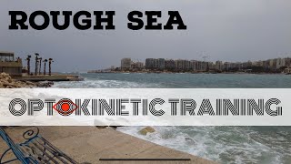 Advanced Vestibular Exercise: Rough Sea