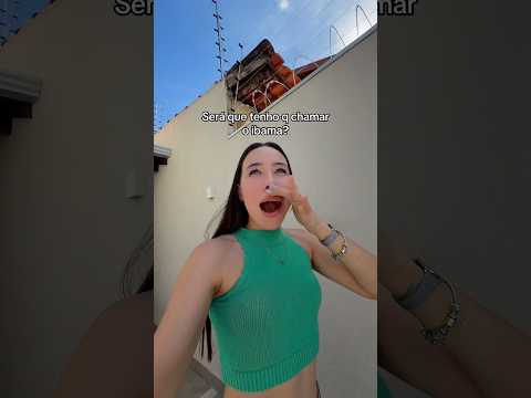 Eu nunca vi tão de pertinho assim #vlog #vlogs #familia