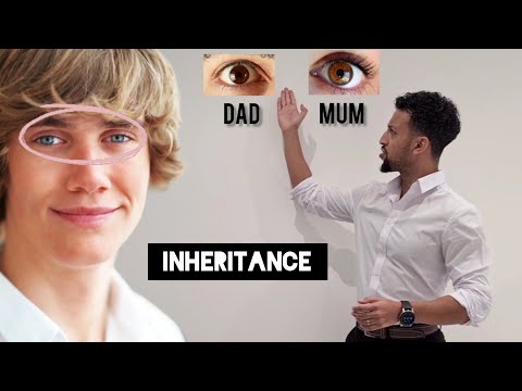 Science Raps: GCSE Biology - Inheritance