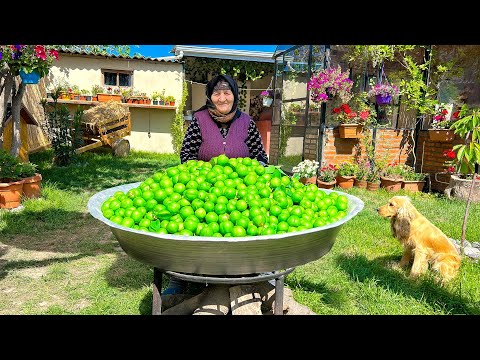 Harvesting Fresh Green Plums and Making Tkemali Sauce in the Village!