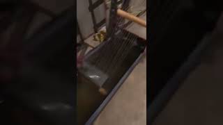 Extrusora 70mm Com Motor de 30Cv - Linha Completa - Vídeo