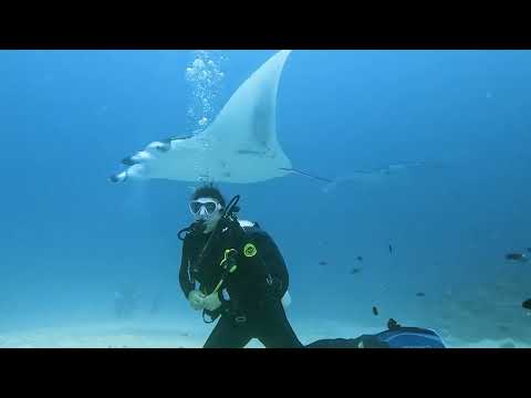 Videos del Lily Beach Resort Spa 5★ en Dhangethi, MaldivasVer MásVerPrecios19CerrarConsulta por Whatsapp 🇦🇷BookingTripadvisorExpediaAgodaTravelocityOrbitzPricelineTripSkyscannerDespegarKayakHotelesDestiniaTrivagoTurismocityLastminuteHotwireTuiWotif