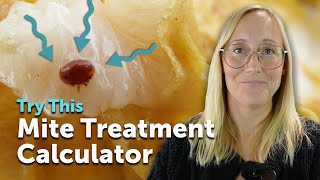 Beekeeping 101: Should You Treat for Varroa Mites? Use This FREE Varroa Mite Calculator & Find Out!