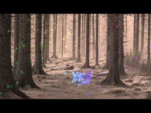 AYY MACARENA - DJ LATU X AVI S FT . TYGA