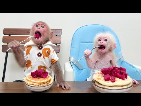 Bibi and baby monkey enjoy a simple but delicious cake made by Mom