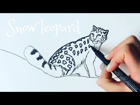 How to draw a snow leopard easy