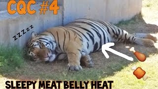 Compound Quick Cuts Ep. 4 - "Sleepy Meat Belly Heat"