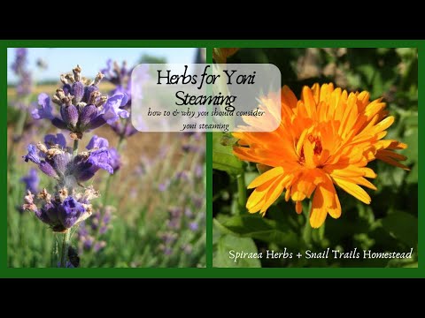 How to Choose Herbs for Yoni Steaming